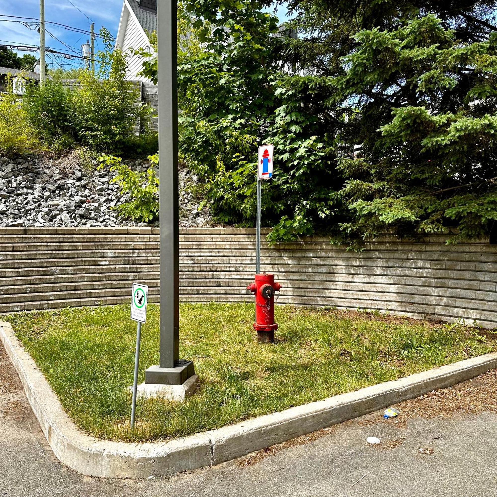 Initial - Road Trip - Chutes-Montmorency - Vue Fleuve Boischatel Exterior photo